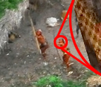 Digitally Enhanced Photo of Orange Tribe People